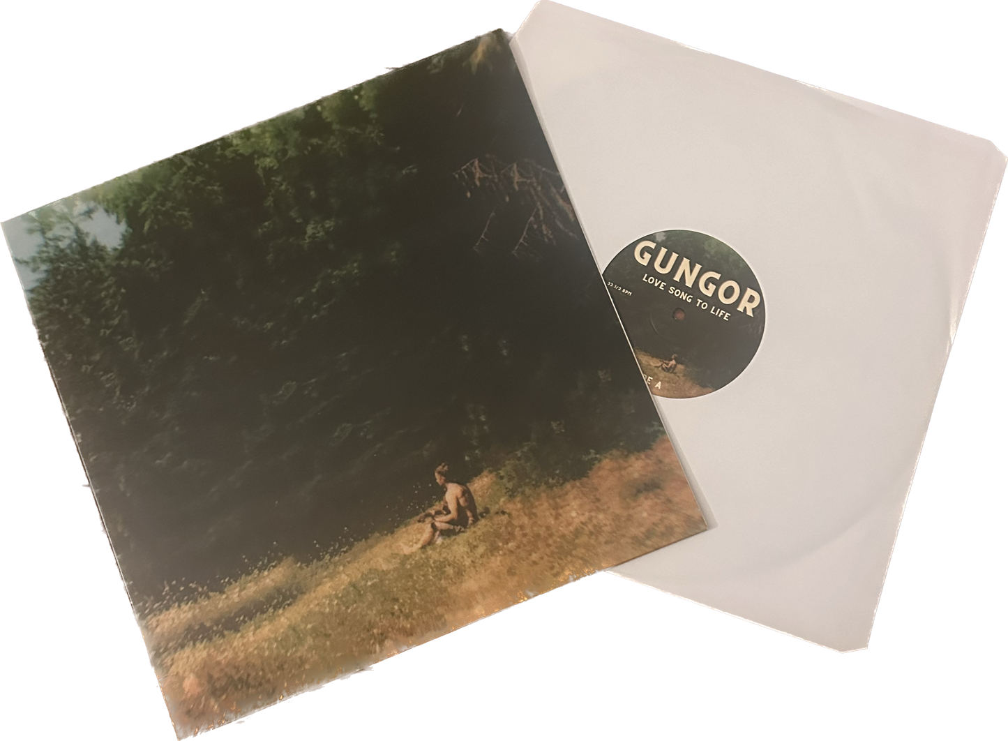 Extremely Limited Edition Signed Love Song to Life Vinyl